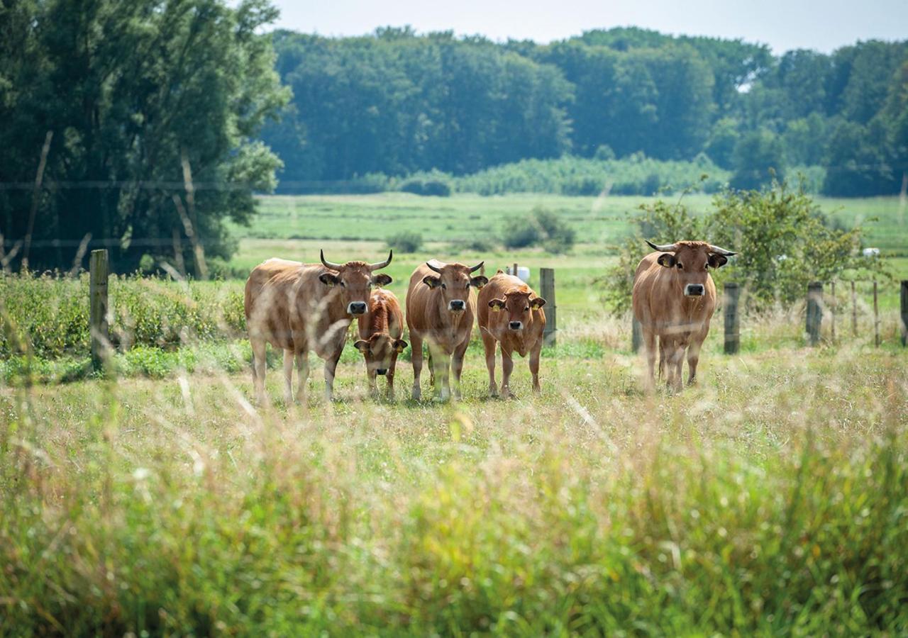 Feldgang Ein Gaestehaus! Upahl Zewnętrze zdjęcie