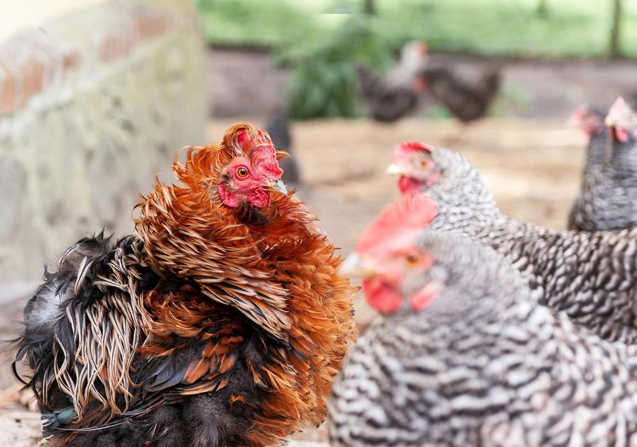 Feldgang Ein Gaestehaus! Upahl Zewnętrze zdjęcie